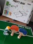 Jogo de Ping Pong de mesa