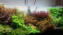 Akwarium 150x50x50 OptiWhite 10 mm