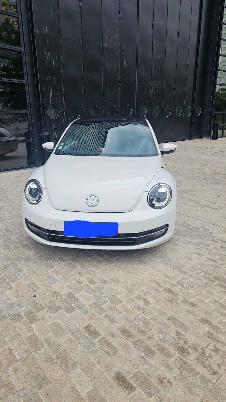 Beetle Maggiolino