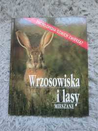 Encyklopedia Dzikich Zwierząt*Wrzosowiska i lasy mieszane*