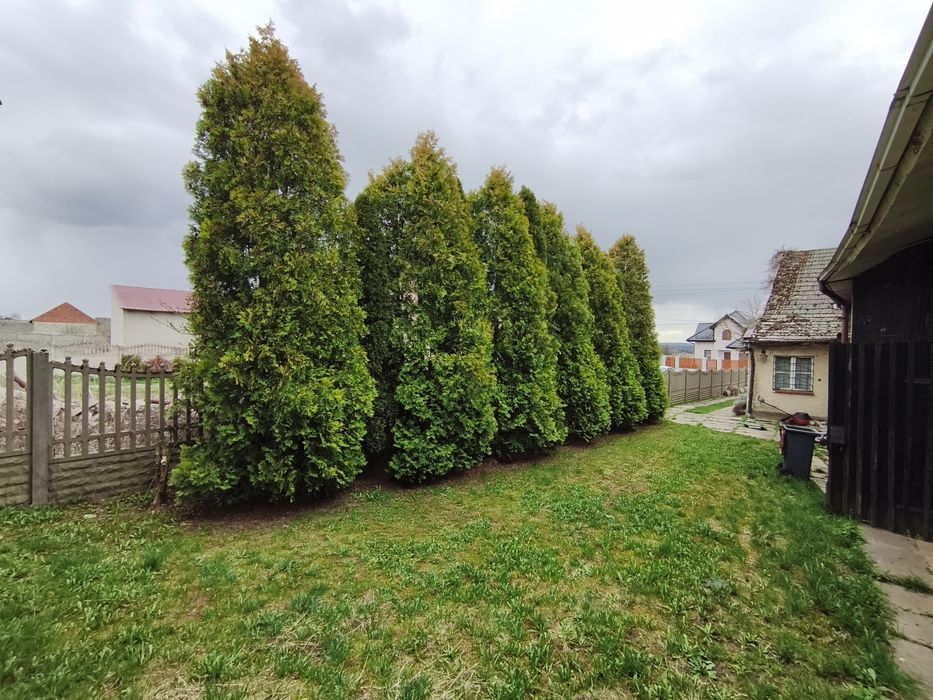 Dom z ziemią 3h ( las, budynki gospodarcze)