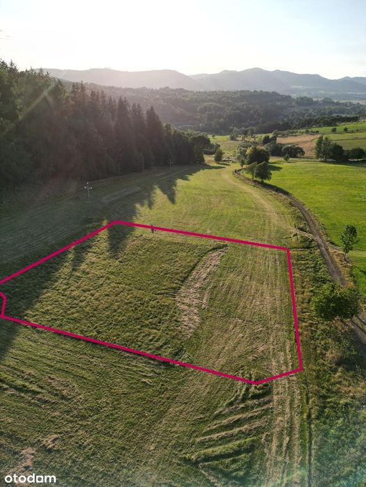 Działka, Sierpnica, Gm. Głuszyca, Wałbrzyski