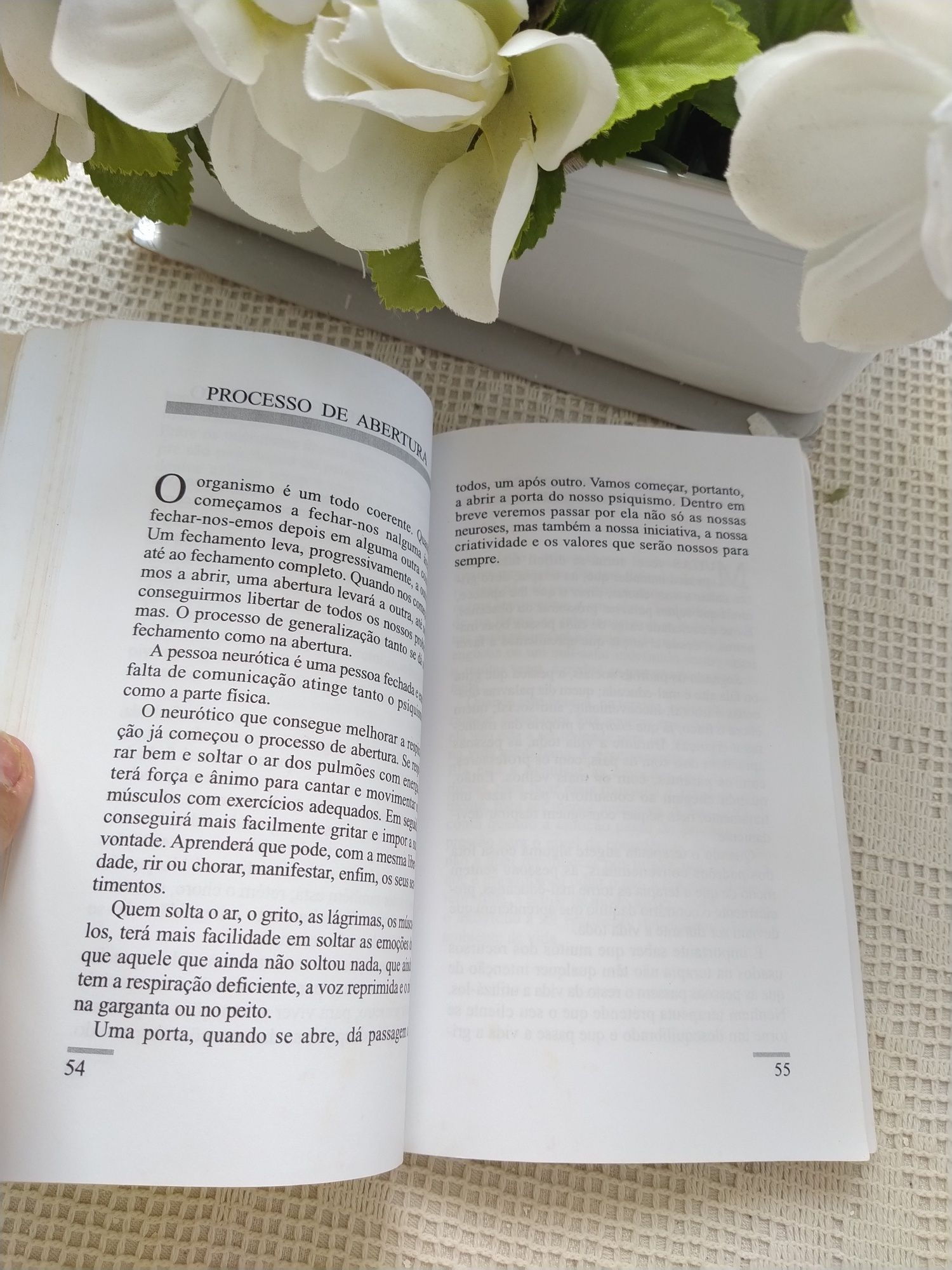 Ajude-se a si mesmo - Onofre A. Menezes