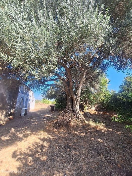 Moradia T3 para venda