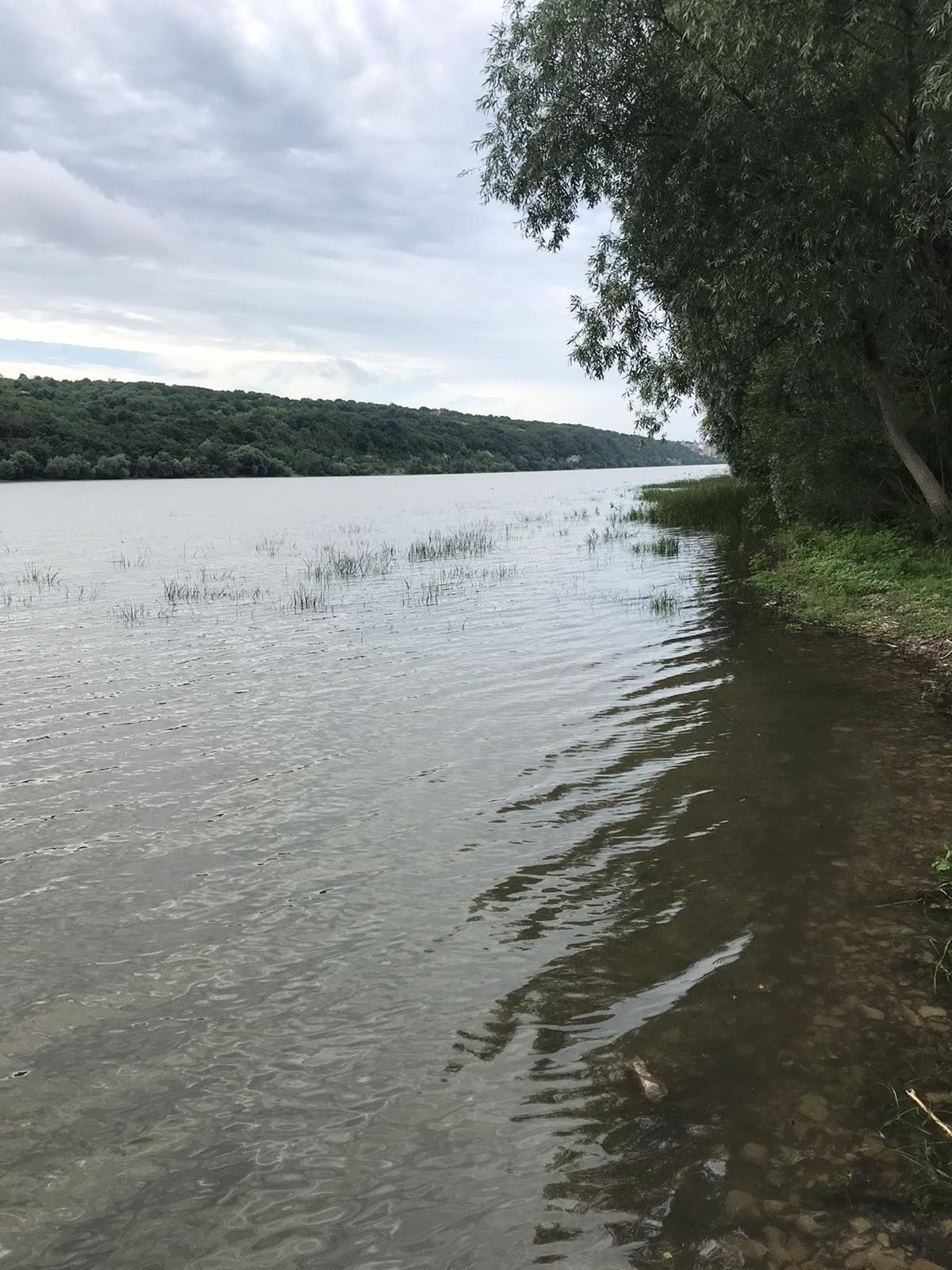 Продам Земельну ділянку біля дністра