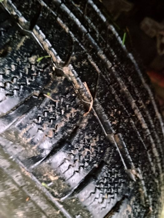 Продам IVECO DAYLI 2004 року