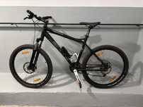 Rower bulls sharptail2