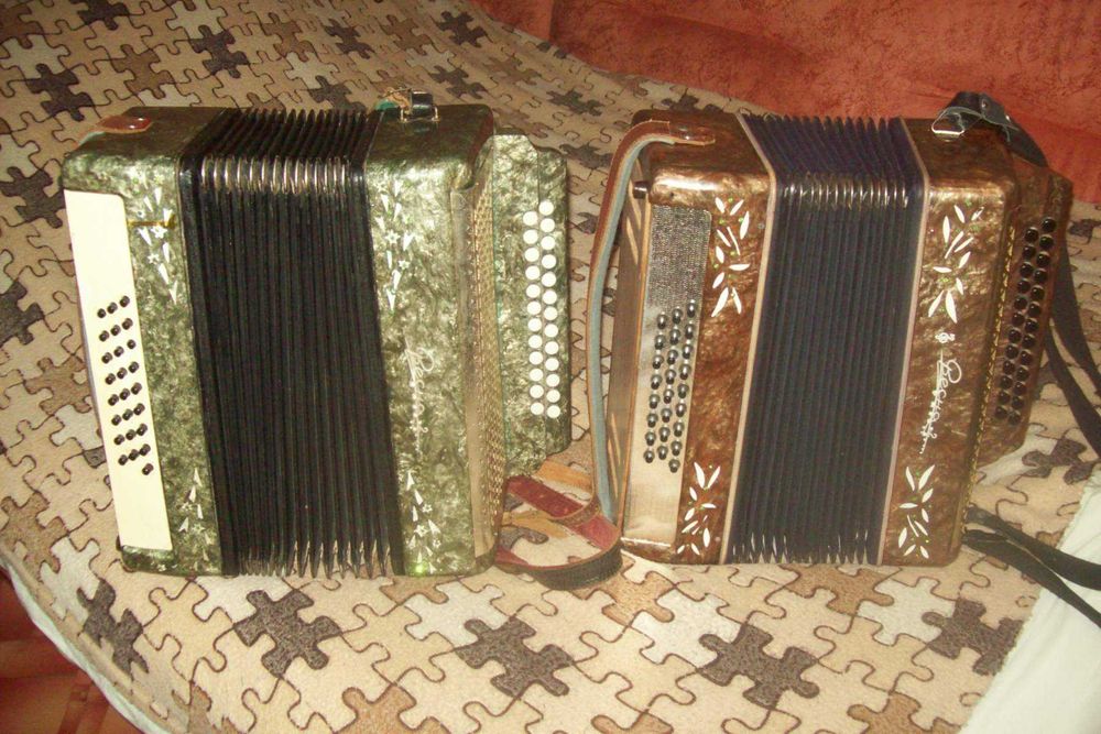 Гармонь ,гармошка,гармоника