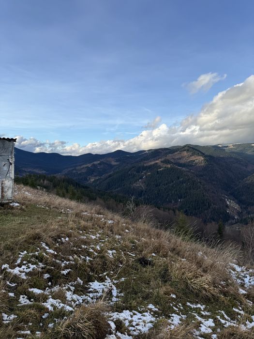 ТОП Дземброня 88сот