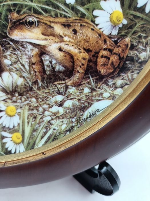 Talerz kolekcjonerski Frog Prince Boxer Anglia