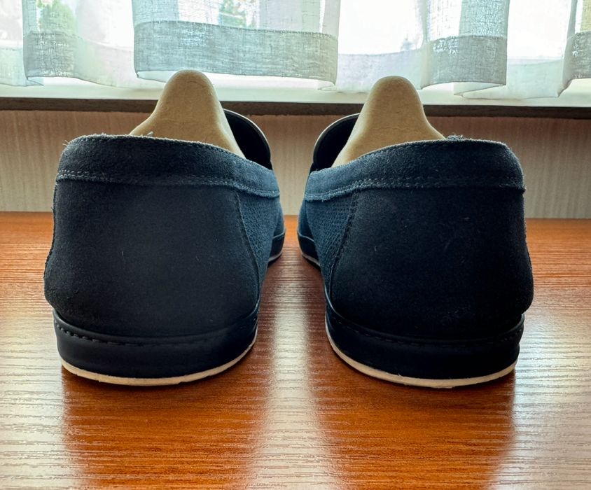 Сліпони giampieronicola