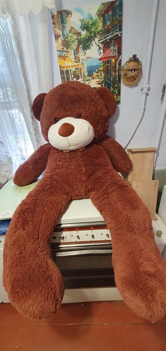 Плюшевый медведь