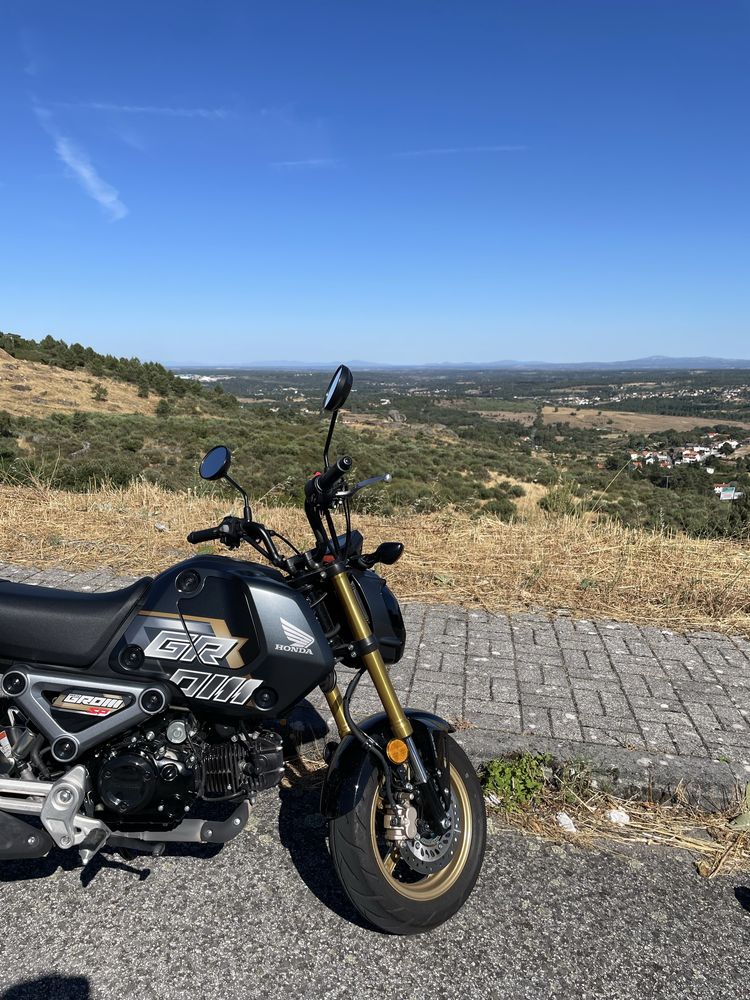 Honda msx (grom)