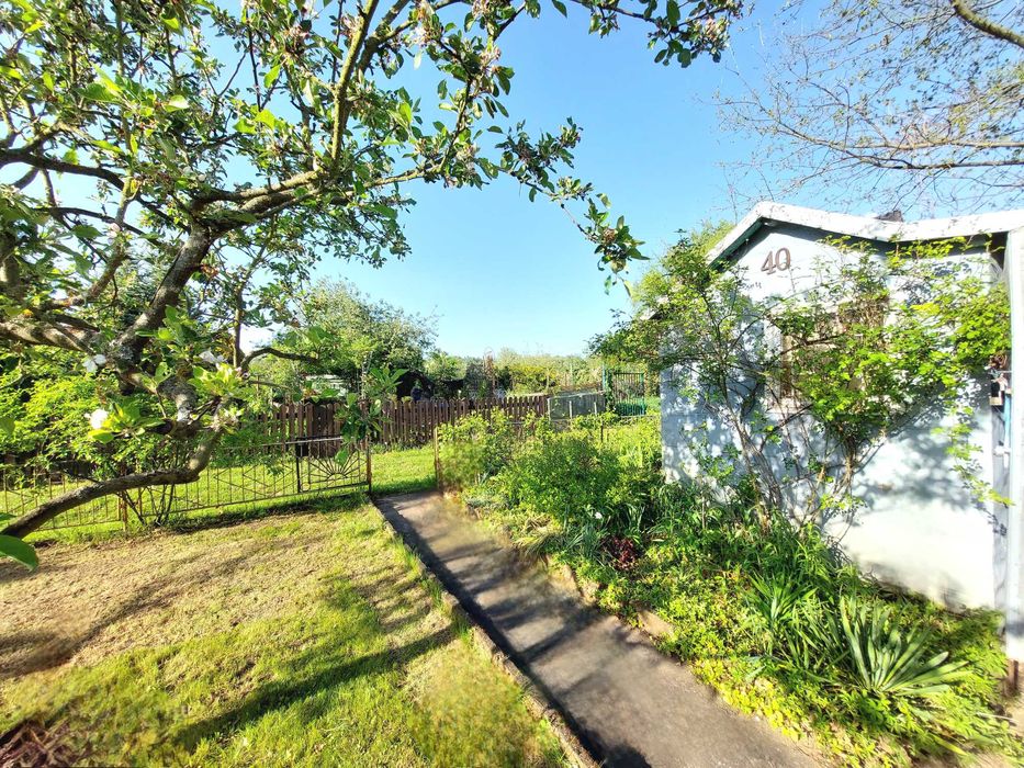 Dzialka ROD Leśnik, Przybyszewskiego