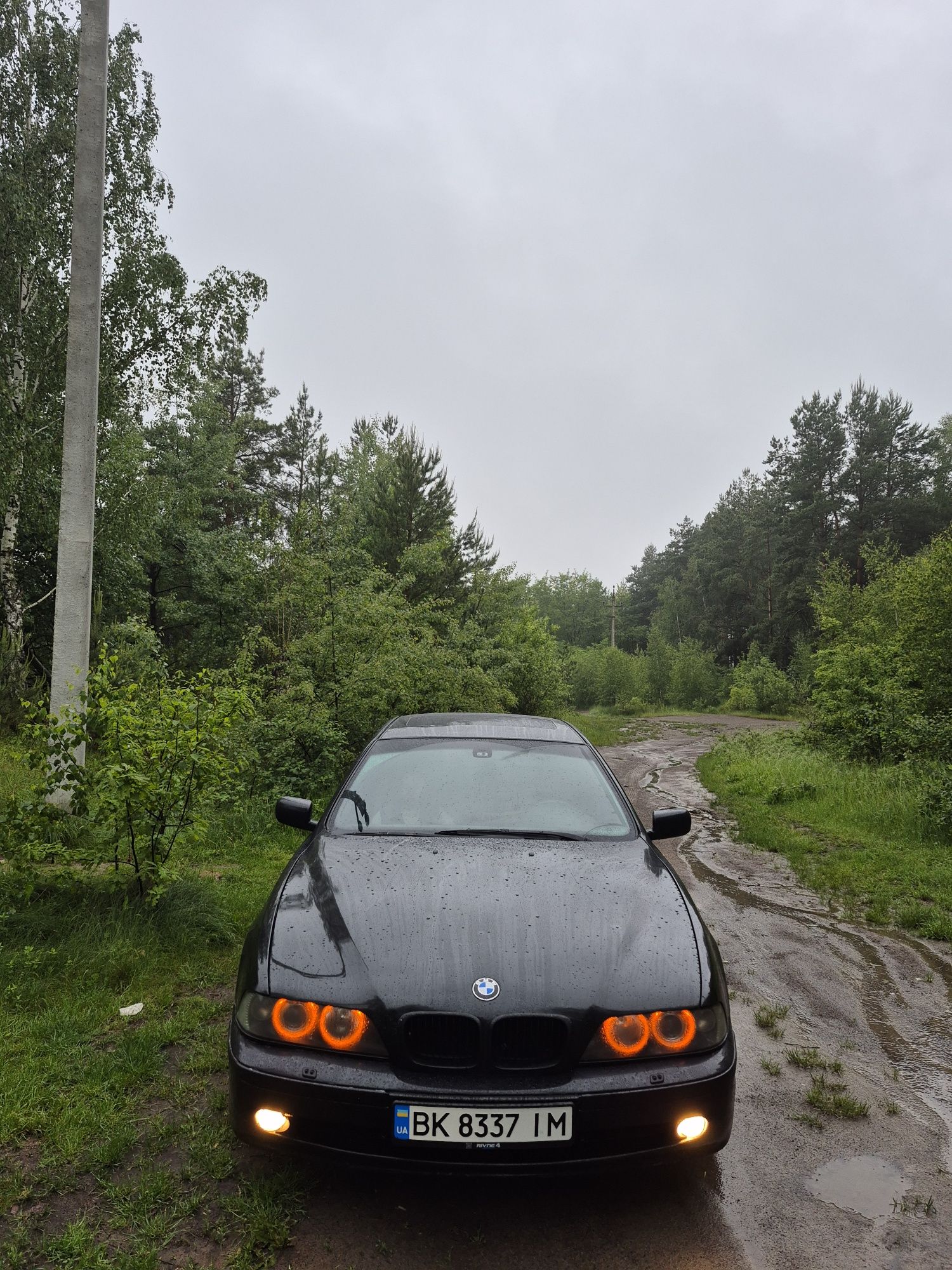 БМВ Е39 525д 2003р седан автомат