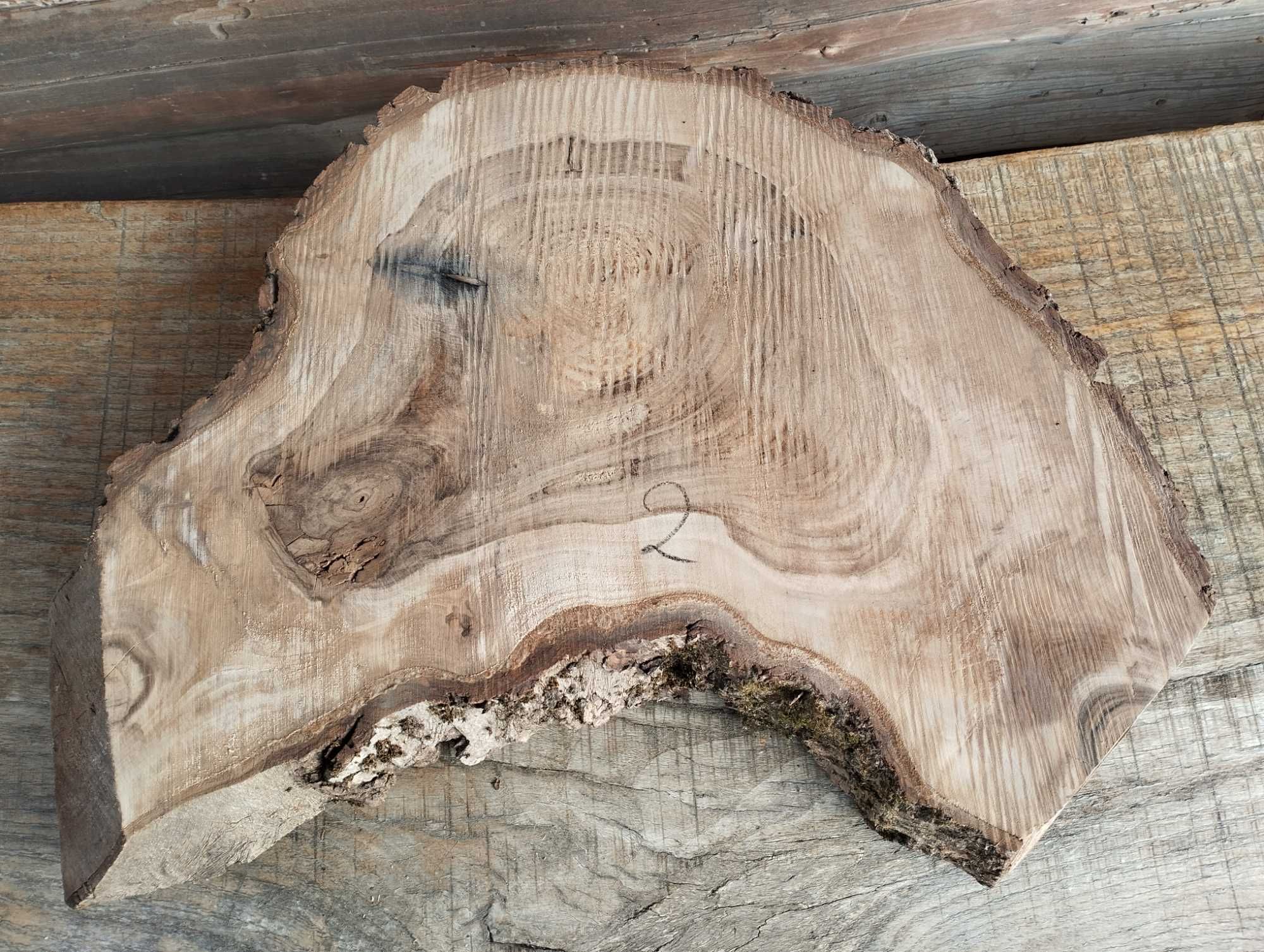 Plaster drewna duży Korzeń Piękny Solidny Orzech DIY Wybór sztuki HIT