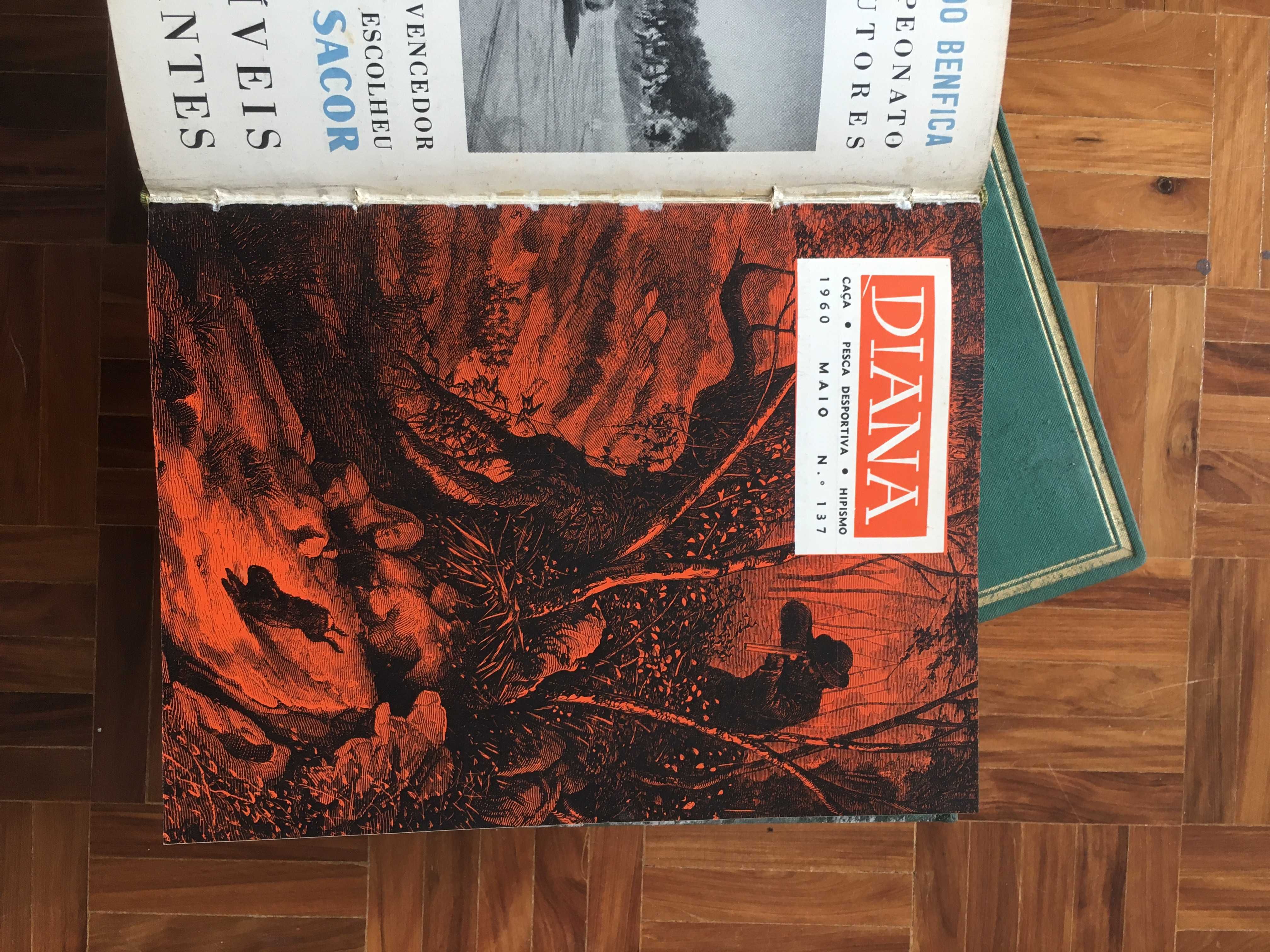 Revistas DIANA [caça · pesca desportiva · hipismo]