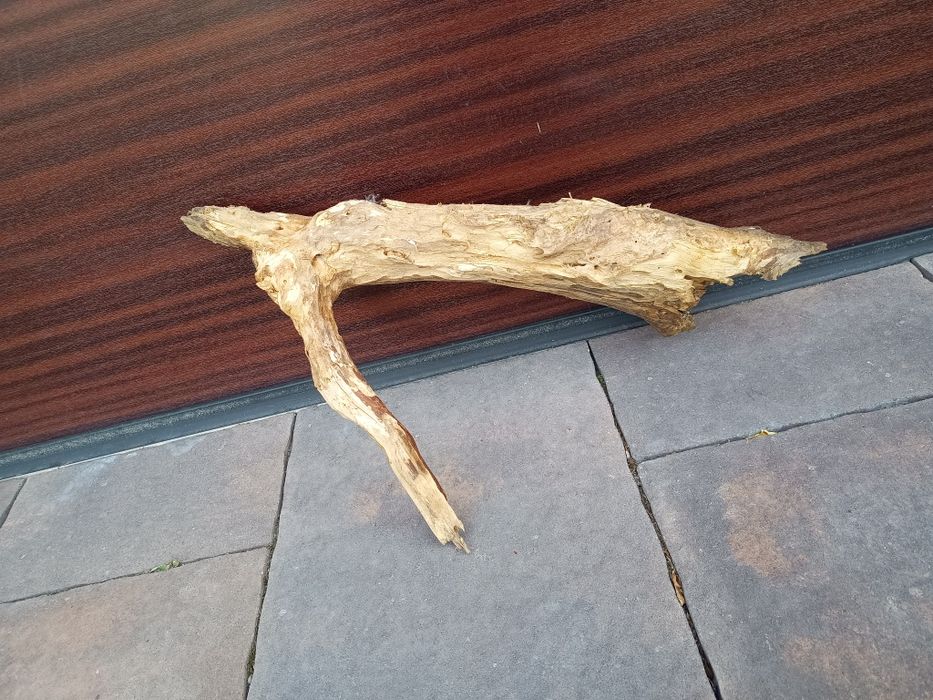 Średni, naturalny konar/kłoda do terrarium