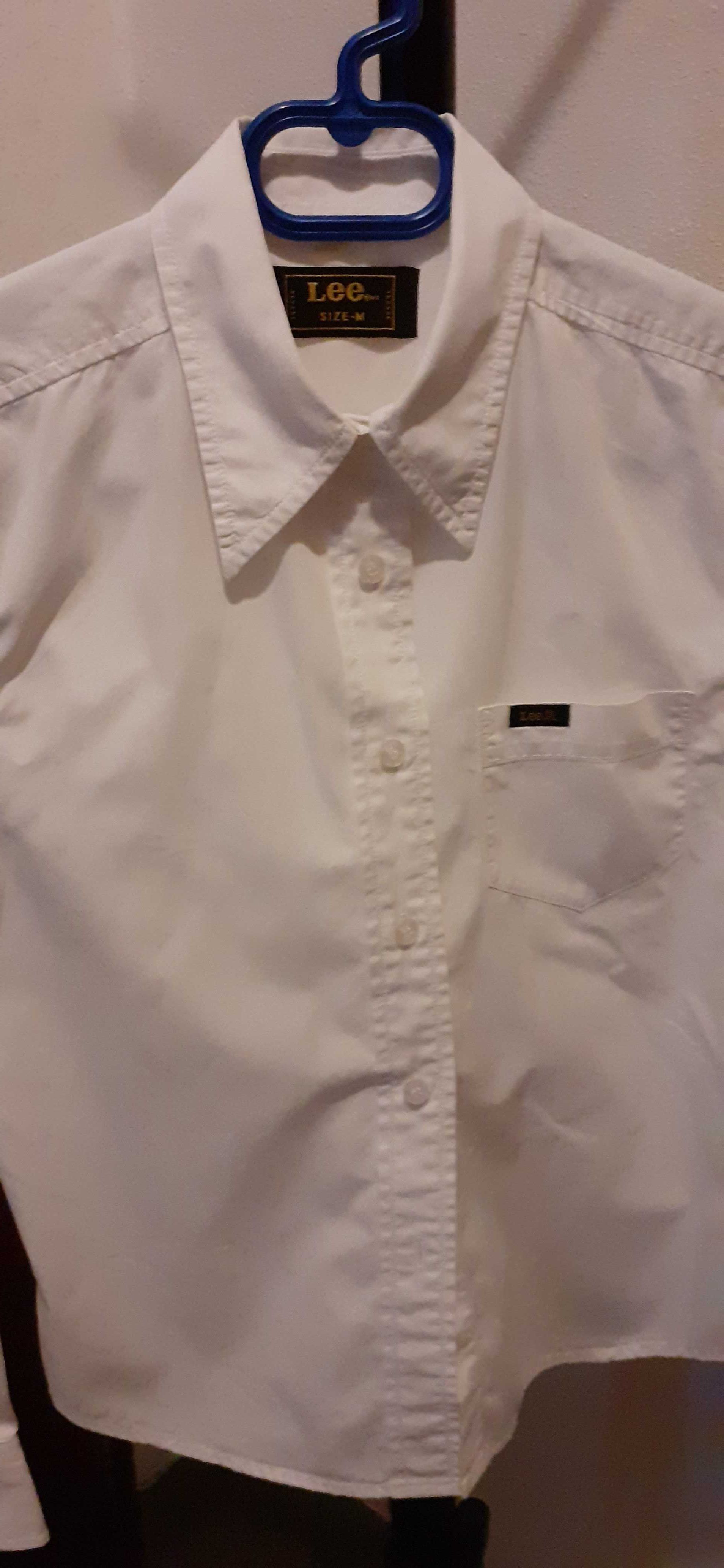 Camisas para jovem (rapaz)