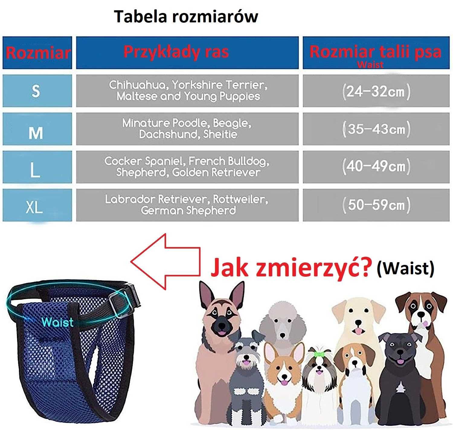 Majtki Ochronne Na Cieczkę Dla Psa Suczki Wkładki S