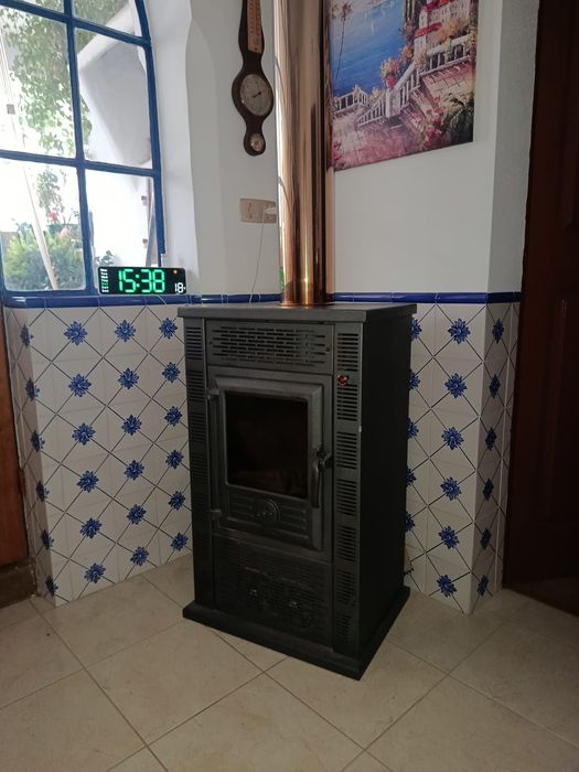 Salamandra em excelente estado