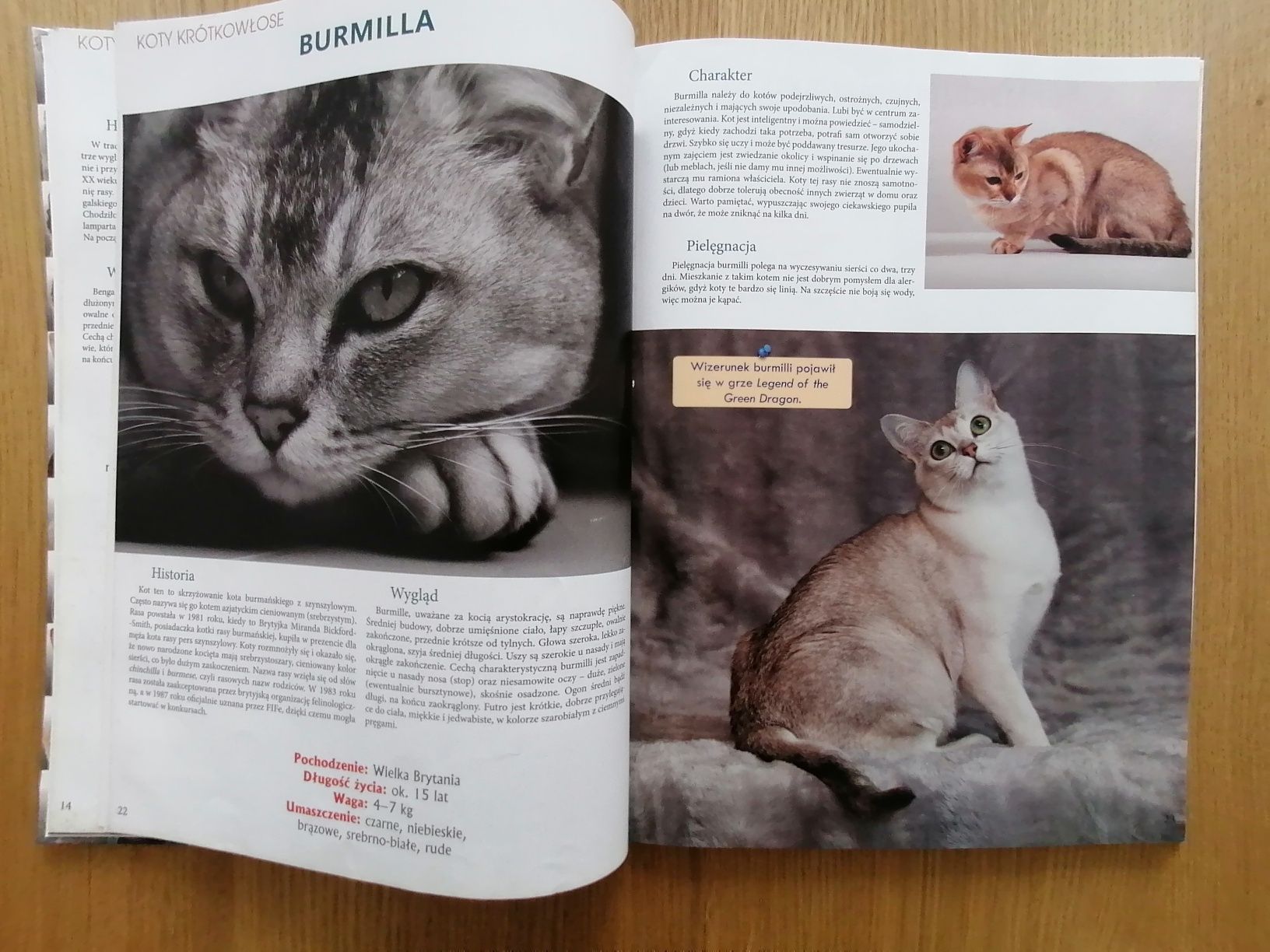 Książka "Koty rasy z całego świata"