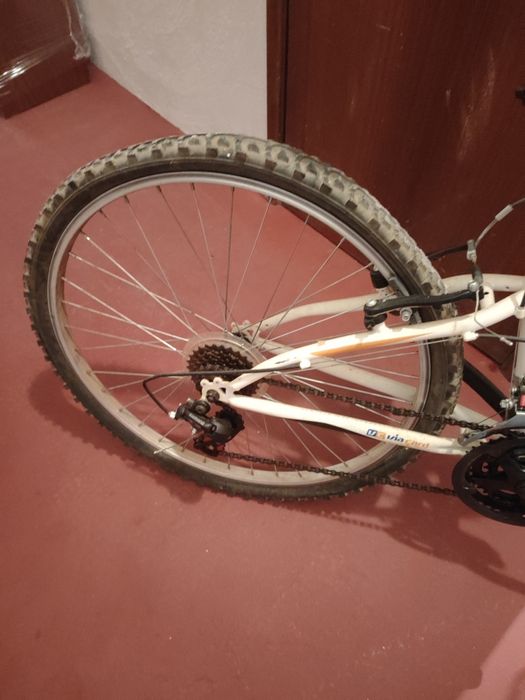 Bicicleta de adulto