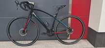 Fajny rower graver Giant ANYROAD 2 ,,M" 48 cm