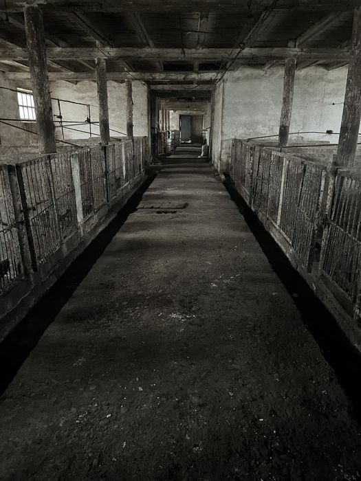 Свиноферма ( цілісний майновий комплекс ) 2700 кв м