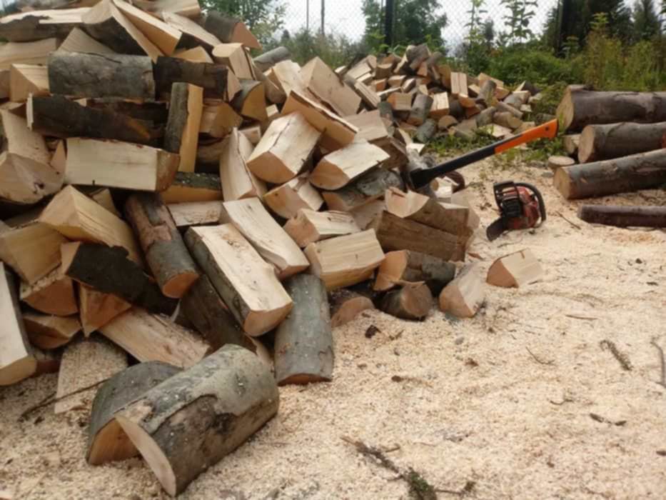 Drewno opałowe i kominkowe – Dąb, Buk, Grab, Brzoza, Sosna, Olcha,