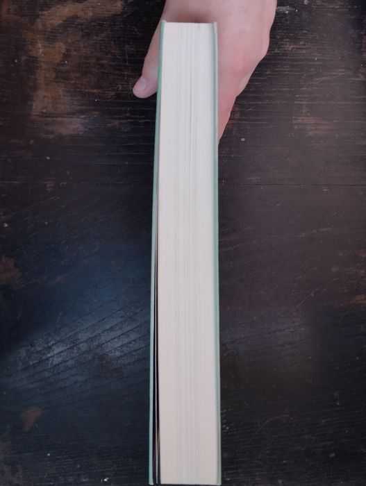 Livro Raparigas Selvagens de Rory Power