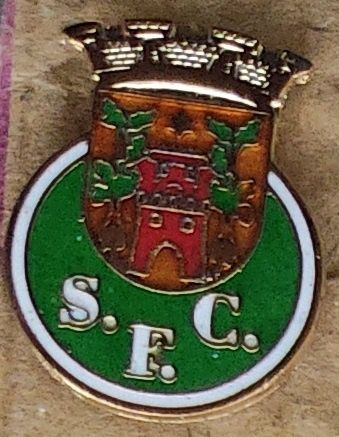 Pin emblema Seia FC