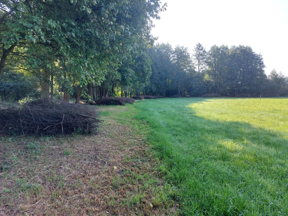 Wyjątkowa działka na sprzedaż