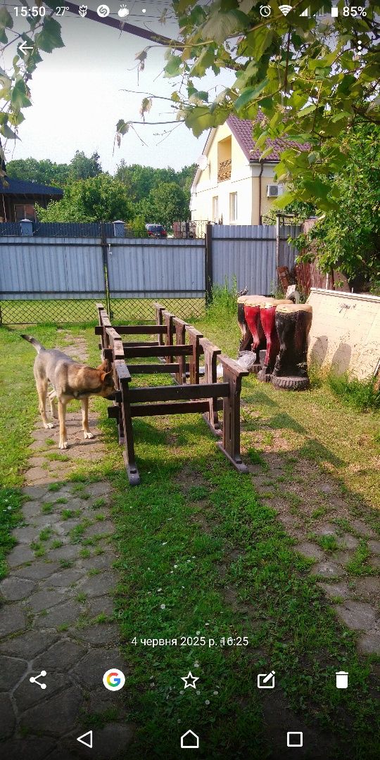 Барний стілець "КІНЬ" (ручна робота).