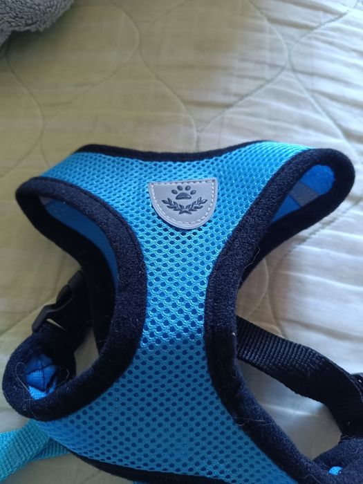 Прогулянковий повідець+шлея для кота,собаки