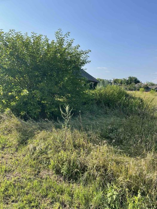 Земельна ділянка