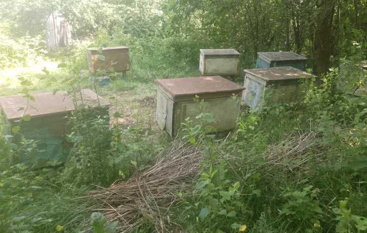 Улей для пчёл б/у 4шт, рамки для улья, маска пчеловода, обогрев