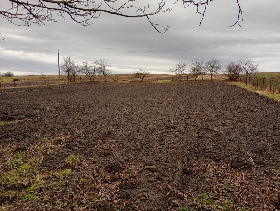 Продається будинок у селі Рогізно