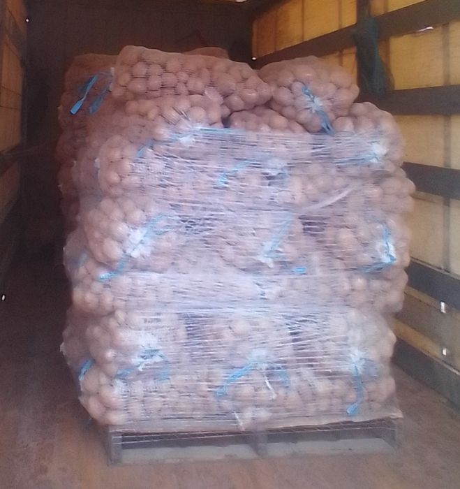 Batatas Picasso (Olho de Perdiz)