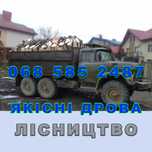 Дрова твердих порід. Безкоштовна доставка. ЧЕСНИЙ об'єм хороша ціна