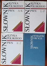 Słownik Języka Polskiego PWN (t. I-III) + Słownik Wyrazów Obcych PWN
