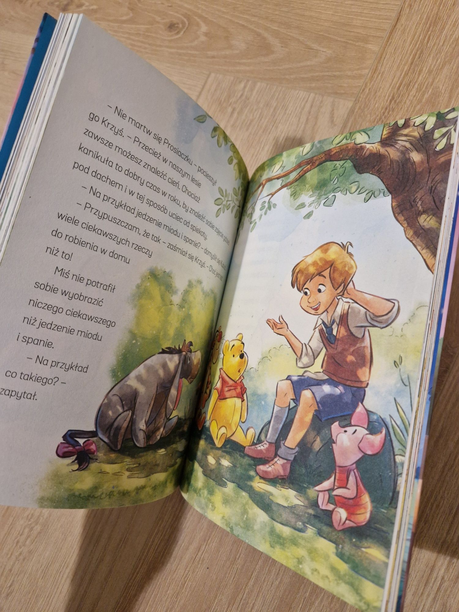 NOWA książka Kubuś i Przyjaciele Przyjaźń w Stumilowym Lesie
