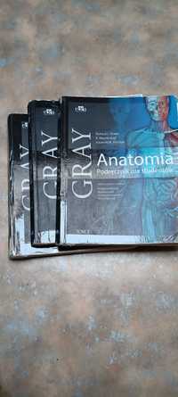Anatomia Gray (3 tomy) LEKARSKI