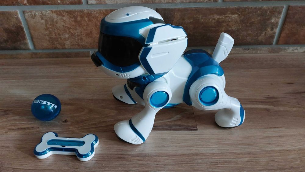 TEKSTA Robopiesek interaktywny