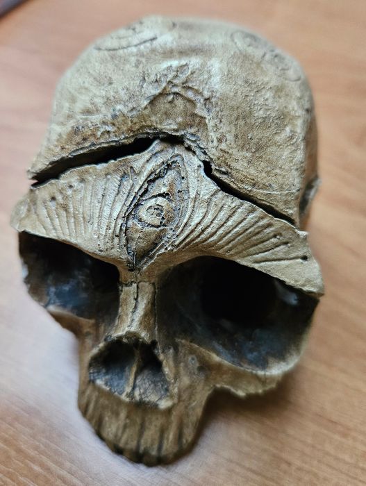 Unikatowa popielniczka czaszka