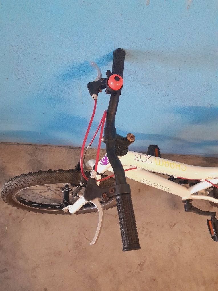 Bicicleta Berg junior