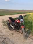 mustang mt 200-06