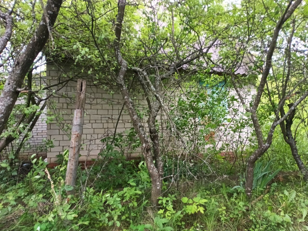 Продається дача Місто Суми,село Любачеве