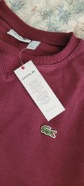 Bluza męska lacoste xxl