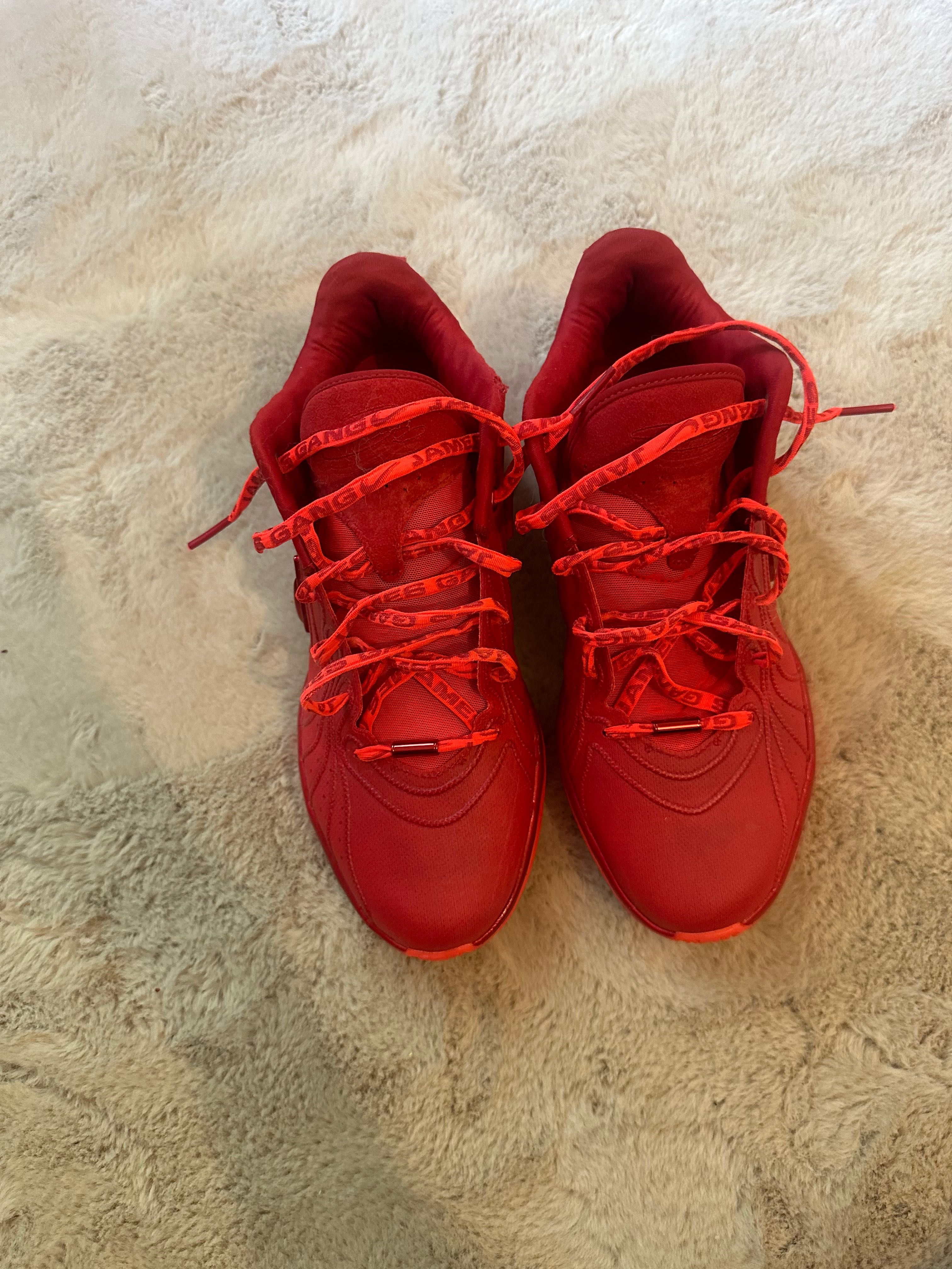 Nike LeBron 21 James Gang